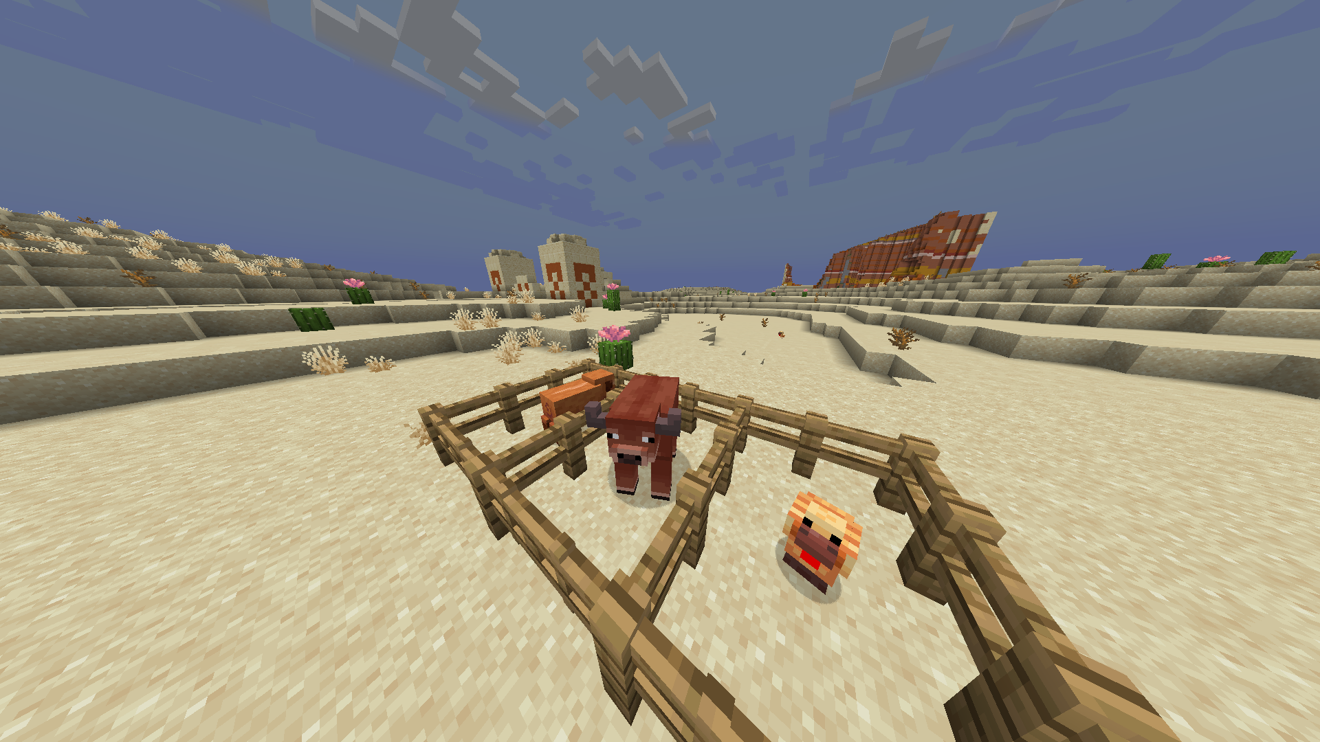 Variantes chaudes des animaux