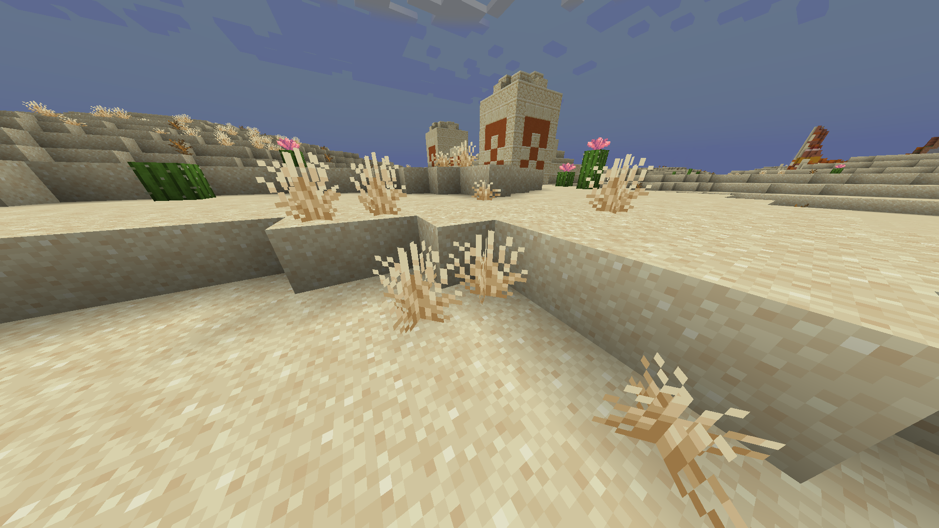 Déserts et buissons